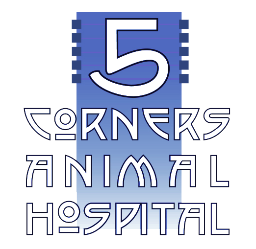 5 Corners Animal Hospital Logo