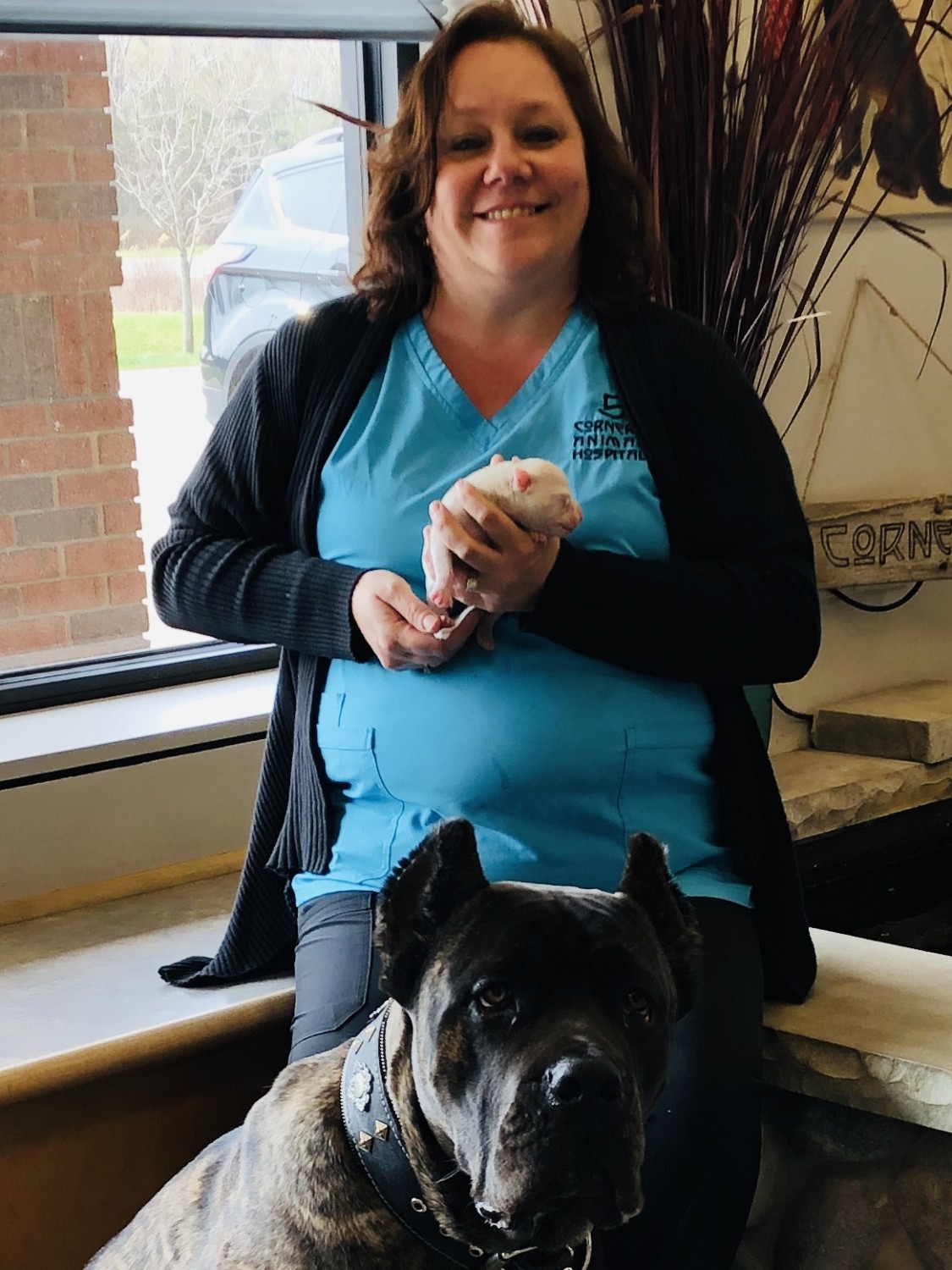 Stacy - Veterinary Receptionist