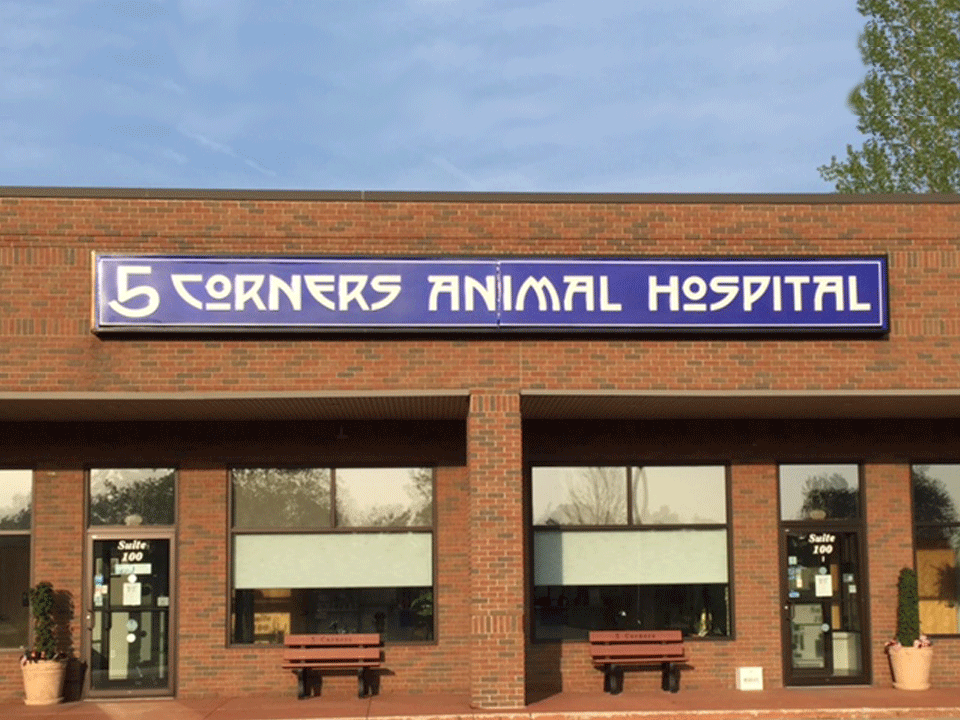 Welcome to 5 Corners Animal Hospital
