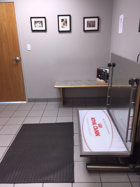 Our large dog exam room with hydraulic lift table