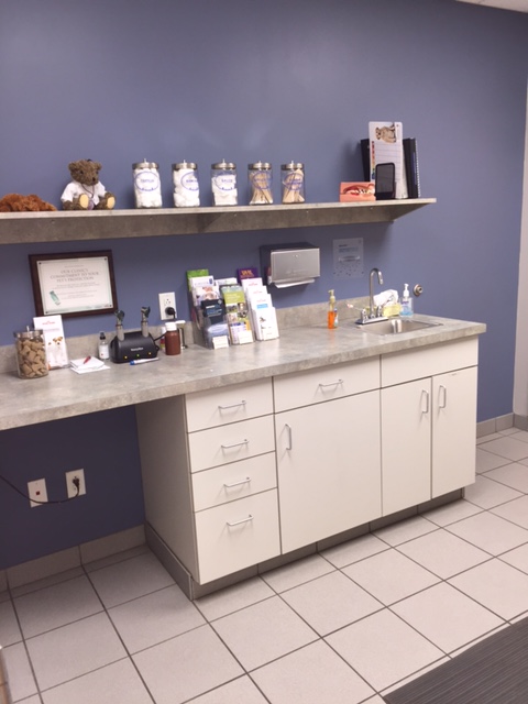 Our small dog exam room