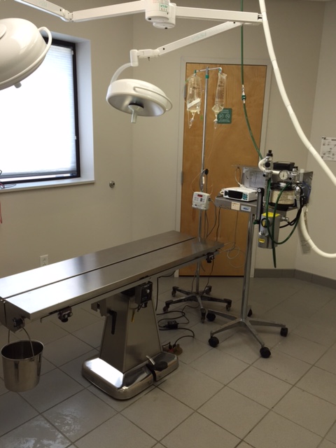 Our surgical suite with the most modern monitoring equipment and anesthesia
